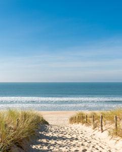 <p>Fall excursion to the seaside resort town of Arcachon</p>
