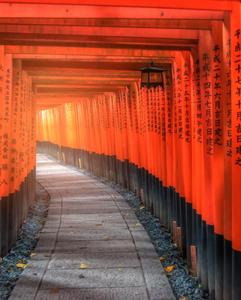 <p>Explore the wonders of the Fushimi Inari Shrine's 10,000 gates</p>

