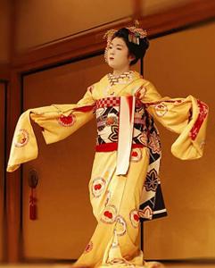 <p>Experience kabuki theater, a classical Japanese dance-drama</p>