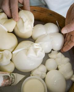 <p>Make traditional Sicilian cheese at the CoRFiLaC&nbsp;dairy research center</p>
