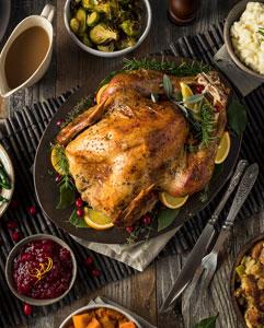 <p>Thanksgiving dinner event</p>