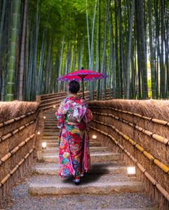 <p>Overnight trip to the famous Kansai region and Kyoto</p>
