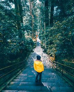 <p>Day trip to Hakone at the base of the iconic Mt. Fuji</p>