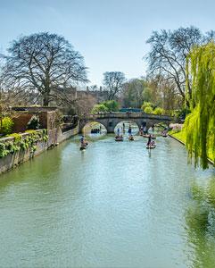 <p>City sightseeing and museum trips</p>
