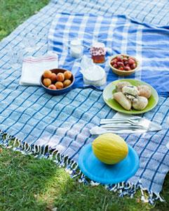 <p>Student sports games, picnics, and outdoor play performances</p>