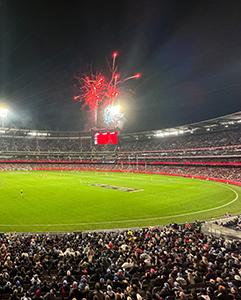 <p>Enjoy live sports at the SCG Stadium</p>