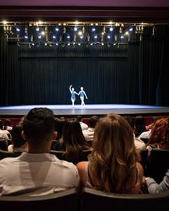<p>Night at the theater&nbsp;(with English subtitles)&nbsp;by the&nbsp;Berliner Ensemble</p>
