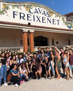 <p>Tastings in the Spanish cava<br />
cellars of Freixenet</p>
