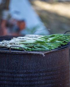 <p>Traditional barbecue in the Catalan countryside&nbsp;</p>
