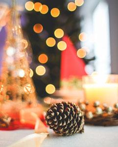 <p>Christmas cocktail reception</p>