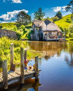 <p>Hobbiton movie set tour</p>
