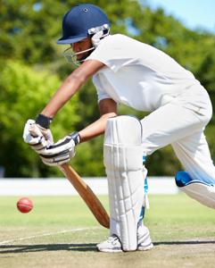 <p>Watch a game of cricket</p>
